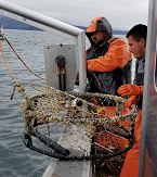 Two men handle a derelict crab pot on a boat