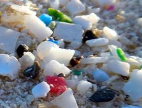 Microplastics on a sandy beach