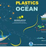 Infographics of plastic marine debris in the water