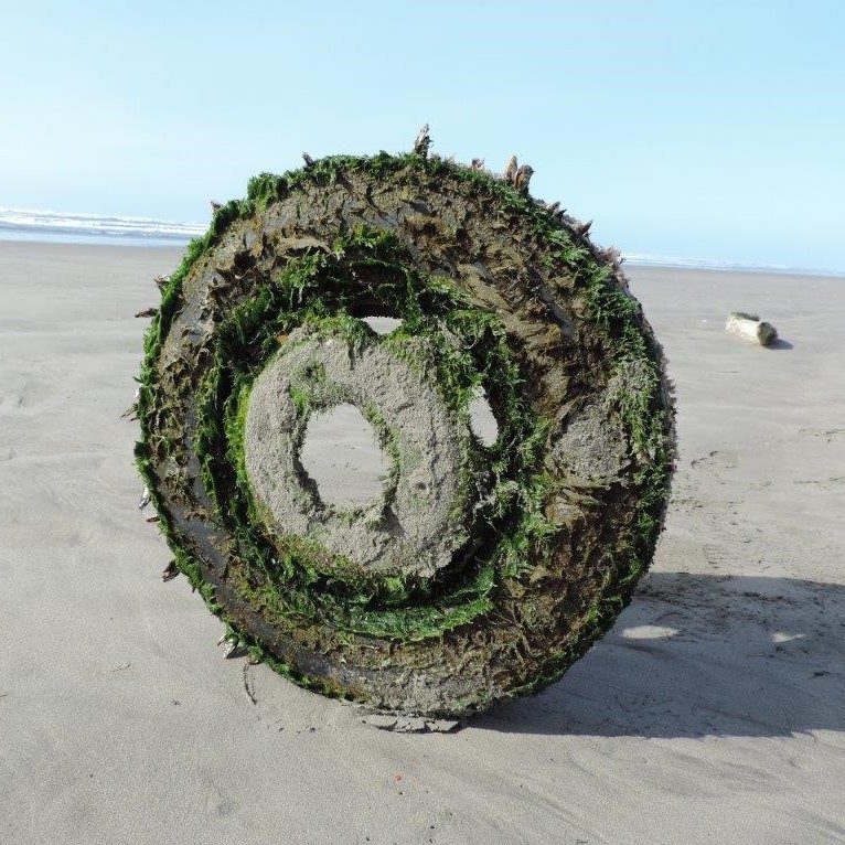 A truck tire that became marine debris collected from Long Beach, Washington. Image credit: Russ Lewis.