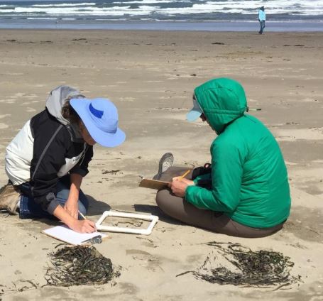 Two students sit on the beach and collect data