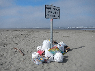 Bags of firework garbage that were collected on the beach at Ocean Shores, WA.